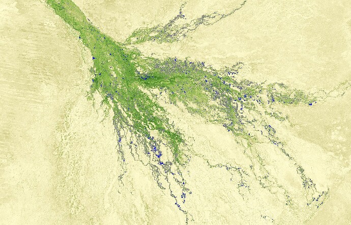 Okavanga Delta Sentinel 2 27082024